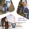 Cat Carrier TSA Airline Approved with Ventilation for Small Medium Cats Dogs Puppies with Big Space 5 Mesh Windows 4 Open Doors - Purple